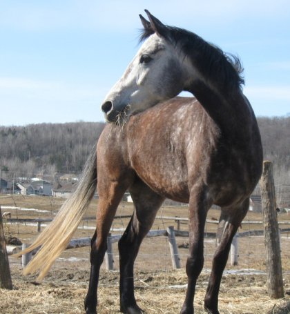 Ma doudoune qui aura 5 ans en mai ! 