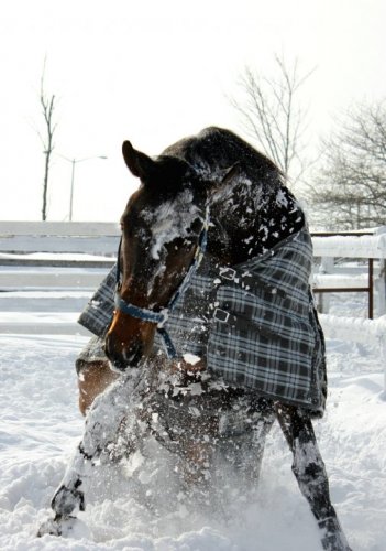 GROS FOU :) 