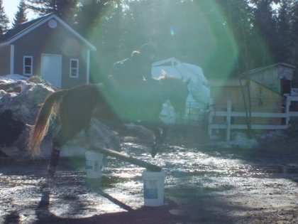 Moi et Balou, le poney &agrave; steph <3