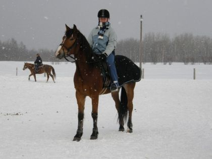 Moi sur un Henri tout curieux et fier