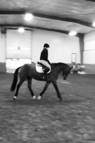 Valentin (L)