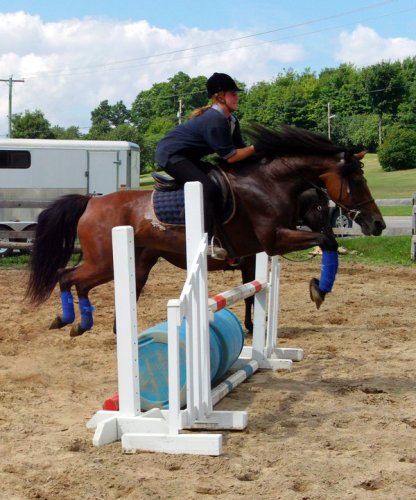 Saut avec Jument Morgan 