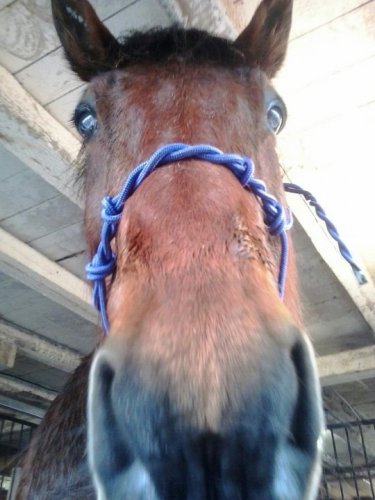 ma grosse face a moi xxxxxxx ! :) 