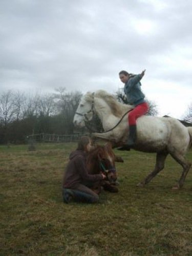 tit saut par dessus un cheval couché! *,*