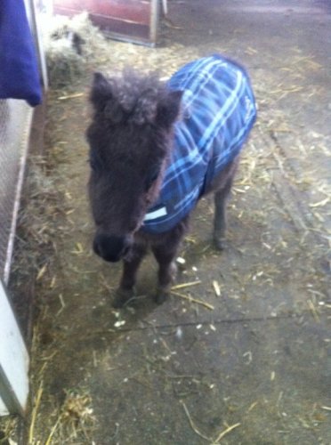 photo par jes&freeze trop chouxxxx mon tit bb