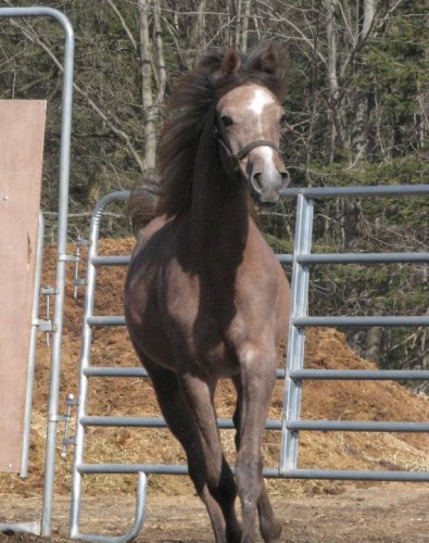 Juste pour vous, une photo de ma belle Esscapade il y a un mois,...