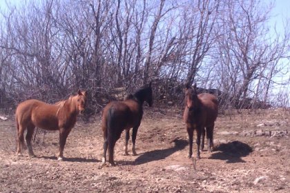 photo par lorie24