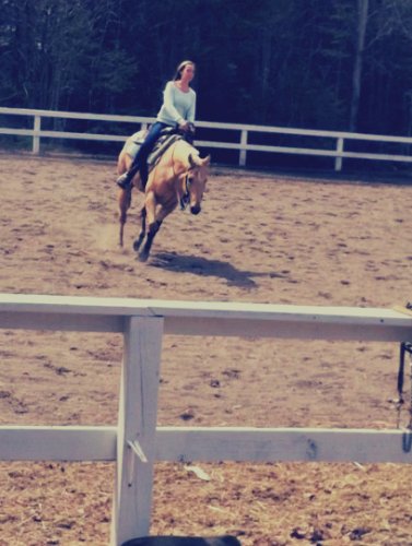 The best horse <3 