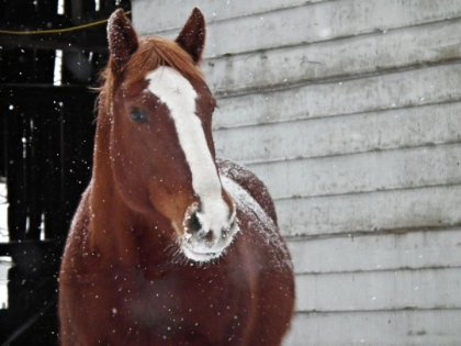 Repose en paix ma belle <3