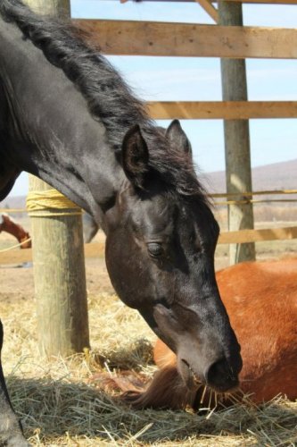 photo par Tricia12