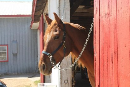 photo par Tricia12