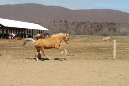 photo par Apollo13