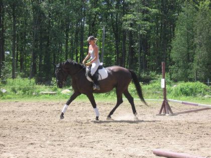 Cavalière en dressage