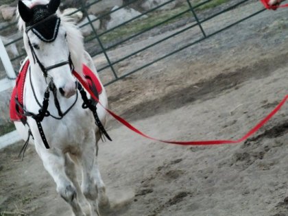 Jubile<3