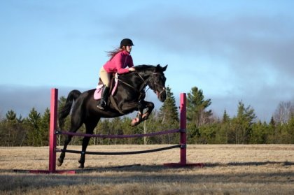 Retour au saut!