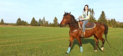 j'aimais mon cheval la dessus :P