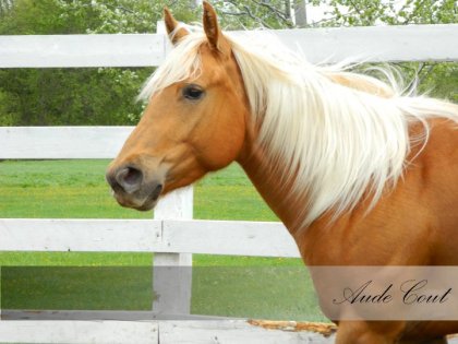 photo par AudeAbby Portrait d'Abby. 3 ans