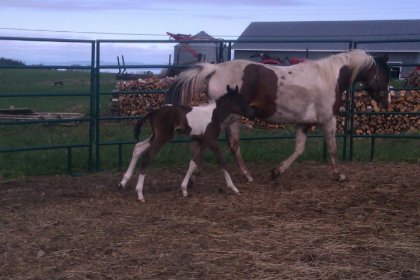 photo par lorie24