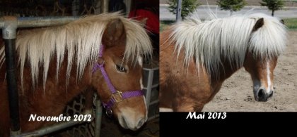 Minnie, 21ans, 6 mois après son achat ! Quelle différence que...