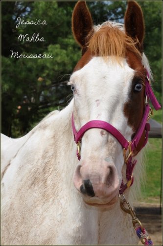Lolita, la jument à Myloup sur PX, à une clinique de horseball