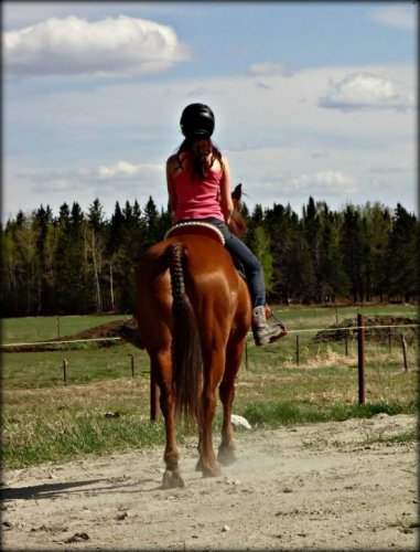 Petite photo de mon entrainement de samedi!