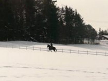 Dans le Champs ! :) ( Photo Au Galop ) :)