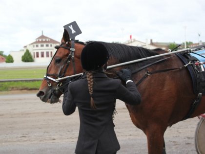 INTIMIDATE, Cheval exceptionnel dans le cercle des vainqueurs !
