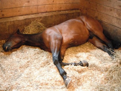 Bruno est...mort de fatigue :P