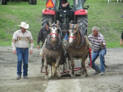Tire de poney Notre-Dame-Du-Lac 2013