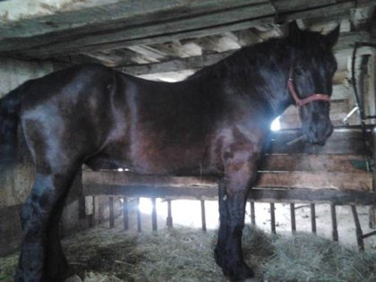 Black-Jack ! <3