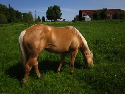 Ça brille enfin, cette belle blondinette là! 