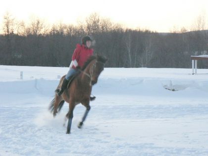 Au galop avec Clouzo, heureux d'être monté dehors!!! lol