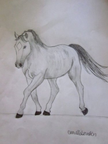 J'aimerais bien des conseils sur mon dessin :-)