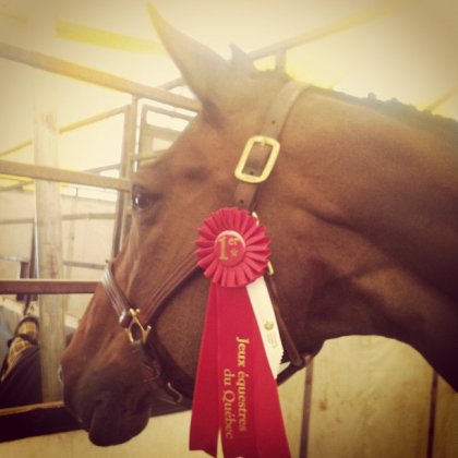 Jeux &eacute;questre 2012, &Eacute;quitation Amateur