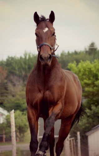 manhattan, encore & toujours <3 