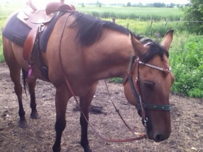 photo par C'arooe<3