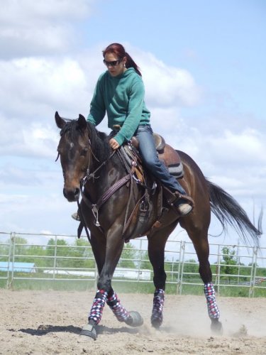 La respectable cavalière Jolyanne de chez J-C Daudelin sur sa...