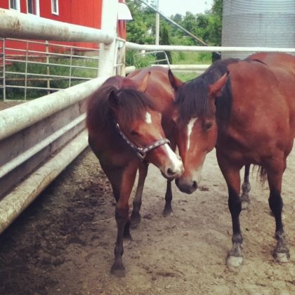 Obrien et sa nouvelle blonde , Maggy ahah :)