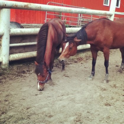 Obrien et da nouvelle blonde, Maggy :)