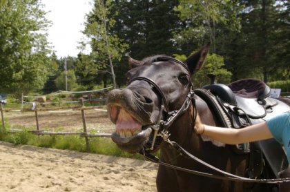 Un beau sourire sur demande! Elle s'en vient pas mal bonne! :) 