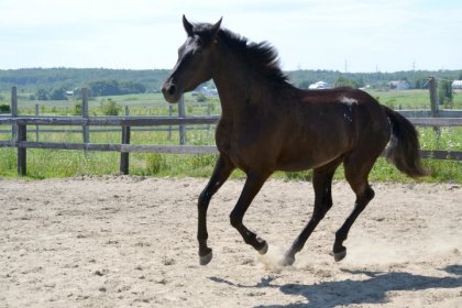 photo par Beac