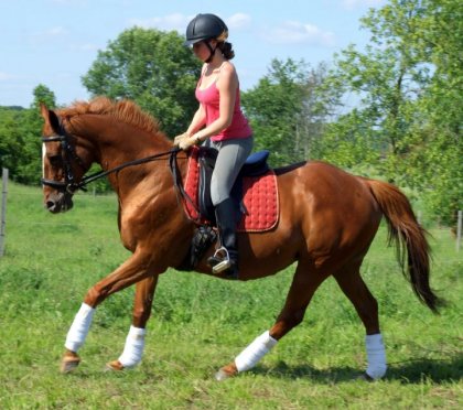 Barbarees Hill au galop avec moi, piètre cavalière.