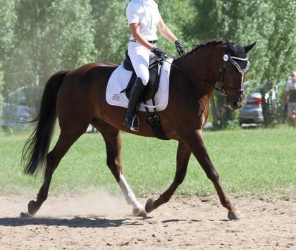 Ma demie, Bruno en compétition (non ce n'est pas moi la...