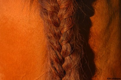 tresse dans le queue d'Axel ! <3