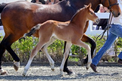 Mon petit nouveau né en avril 2013