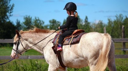 Ma puce à sa 1ere leçcon a vie...elle est assez grande pour...