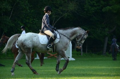 photo par poneyjump