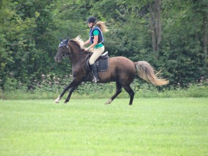moi et Capitaine, TREC de mirabel 2013