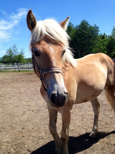 Mon bb 1ans 1mois c'est un amour! 