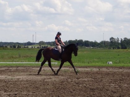Moi et mon poulain, hâte au CEMI :D